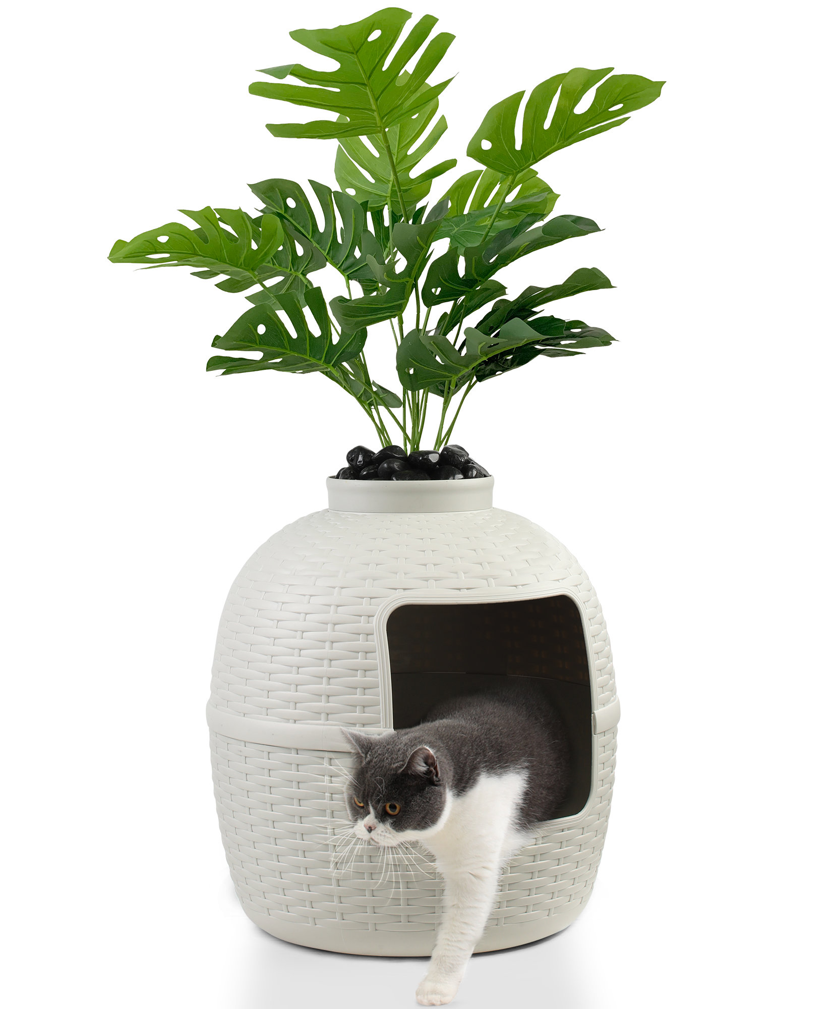 Cat litter planter best sale